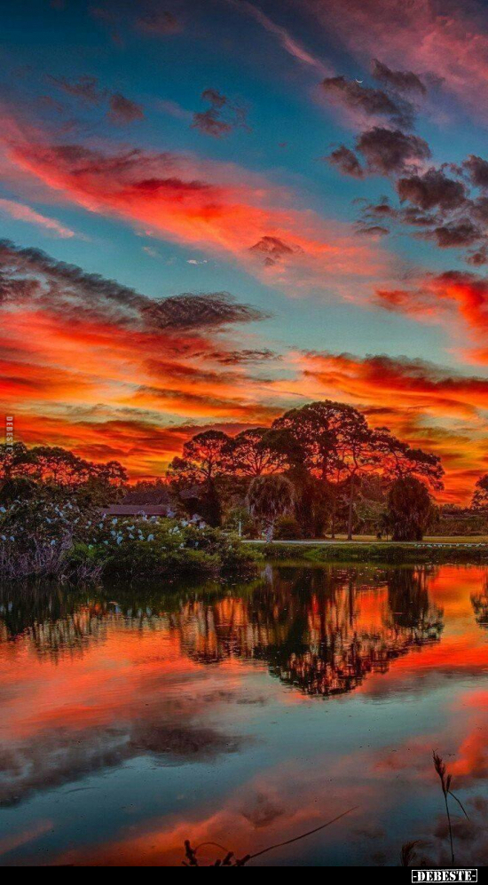  - Lustige Bilder | DEBESTE.de