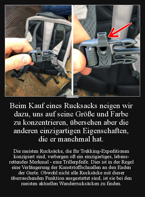 Beim Kauf eines Rucksacks neigen wir dazu, uns auf seine.. - Lustige Bilder | DEBESTE.de