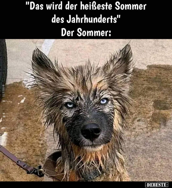 "Das wird der heißeste Sommer des Jahrhunderts".. - Lustige Bilder | DEBESTE.de