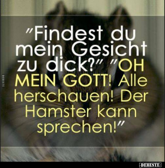 "Findest du mein Gesicht zu dick?"..