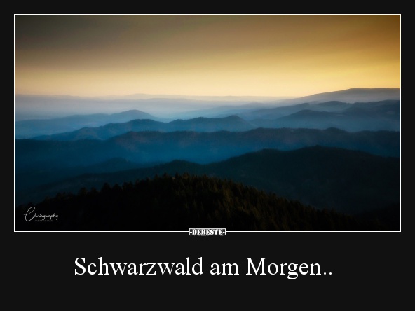 Schwarzwald am Morgen..