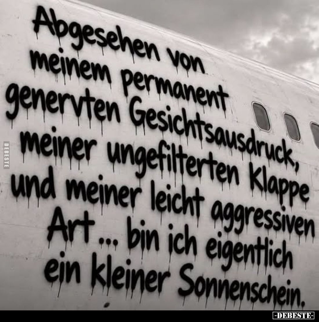 Abgesehen von meinem permanent genervten Gesichtsausdruck, meiner ungefilterten Klappe und meiner leicht aggressiven Art ... ...