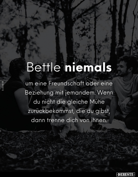 Bettle niemals um eine Freundschaft oder eine Beziehung mit.. - Lustige Bilder | DEBESTE.de