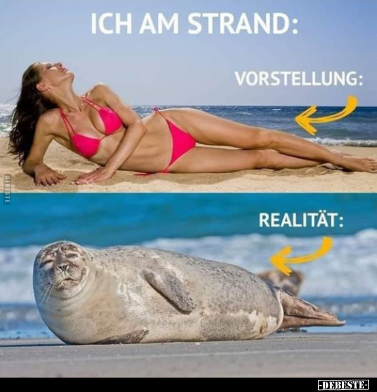 Ich am Strand: Vorstellung / Realität.. - Lustige Bilder | DEBESTE.de