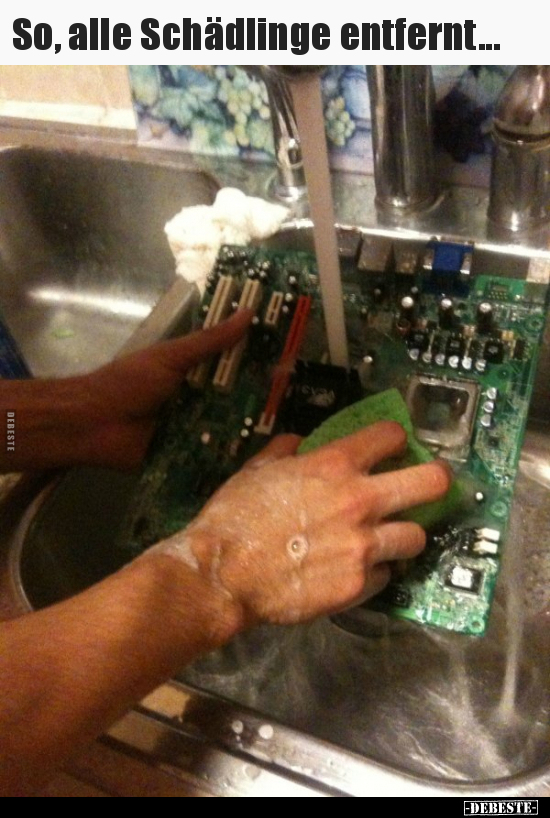 So, alle Schädlinge entfernt...
