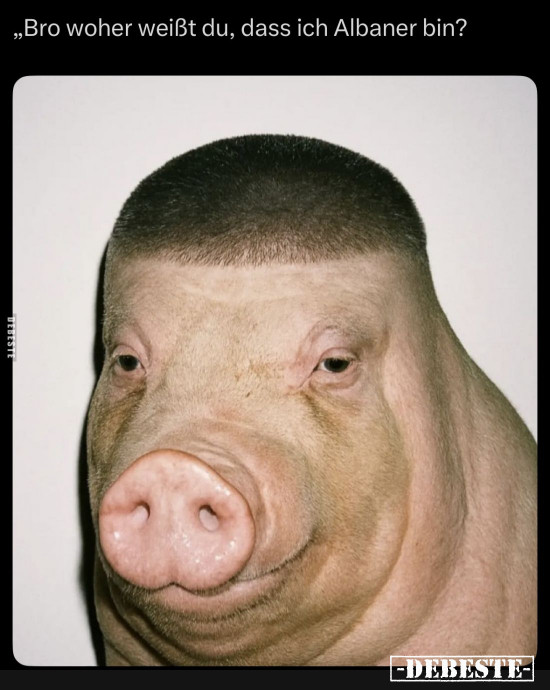  - Lustige Bilder | DEBESTE.de