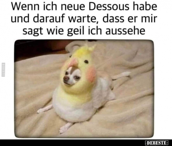 Wenn ich neue Dessous habe und darauf warte, dass er mir.. - Lustige Bilder | DEBESTE.de