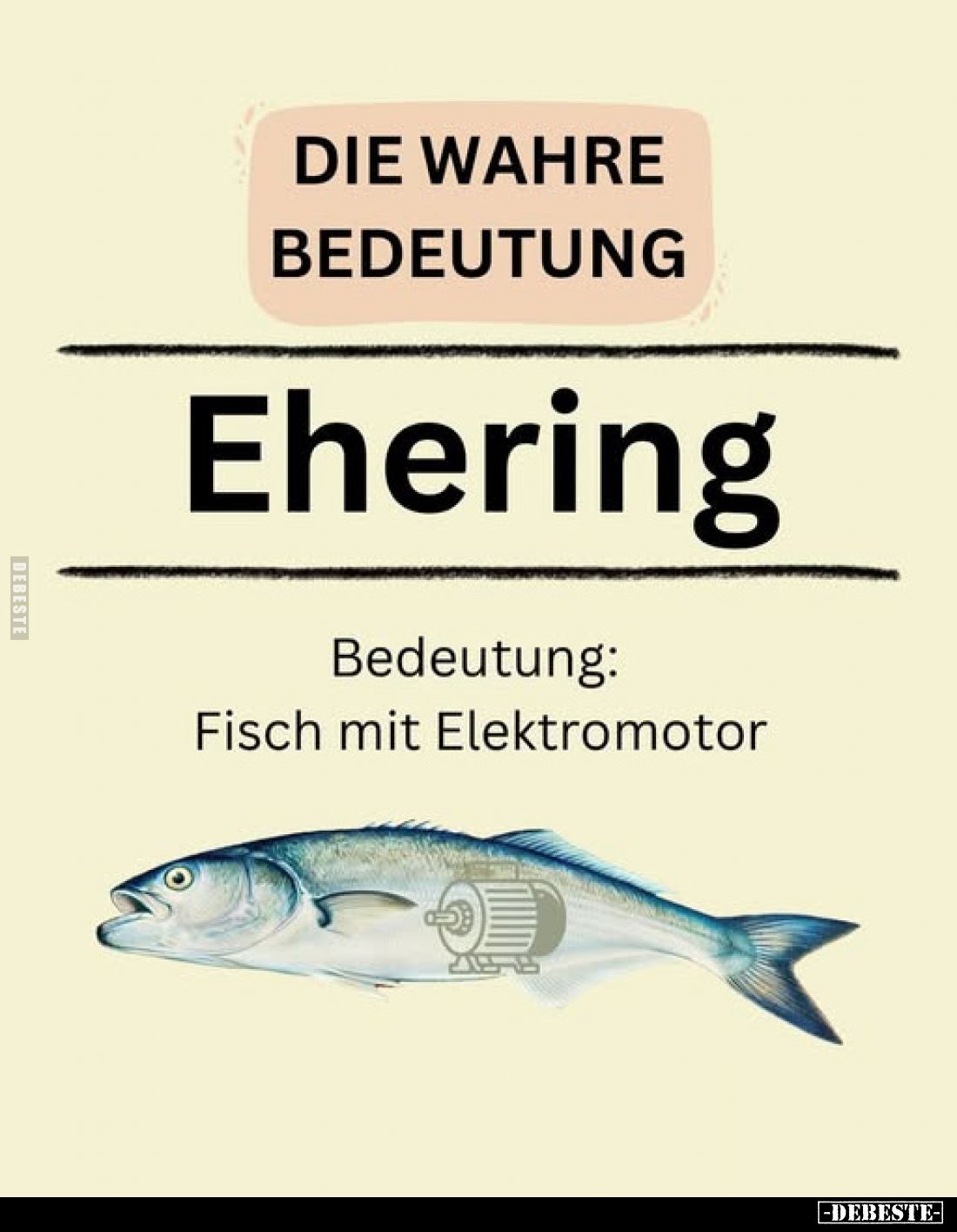 Die wahre Bedeutung
-
Ehering
-
Bedeutung: Fisch mit Elektromotor