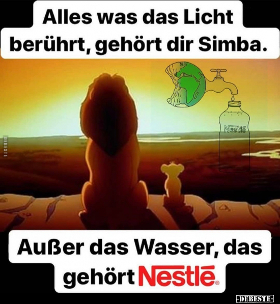 Alles was das Licht berührt, gehört dir Simba.. - Lustige Bilder | DEBESTE.de