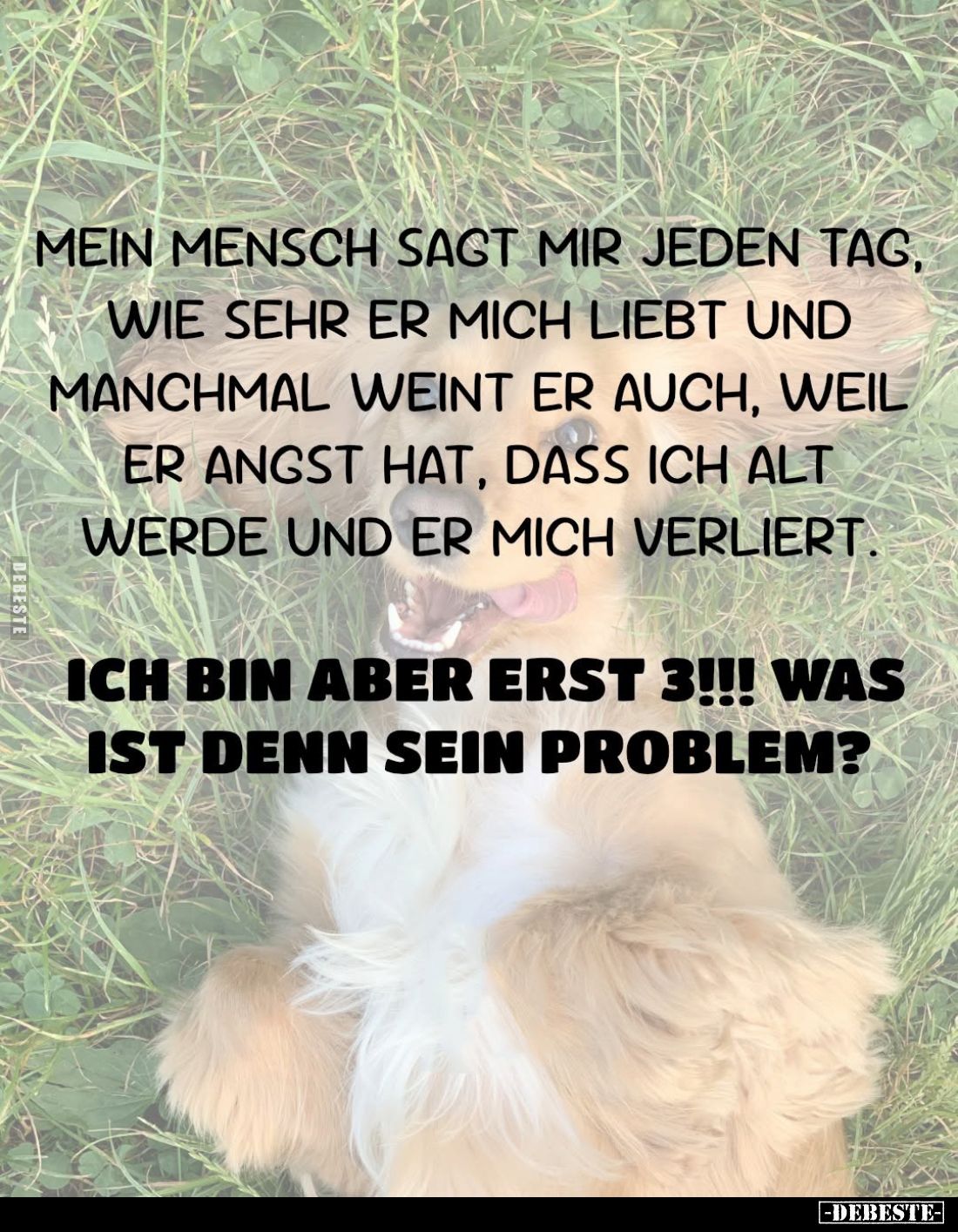 Mein Mensch sagt mir jeden Tag, wie sehr er mich liebt und manchmal weint er auch, weil er angst hat, dass ich alt werde und ...