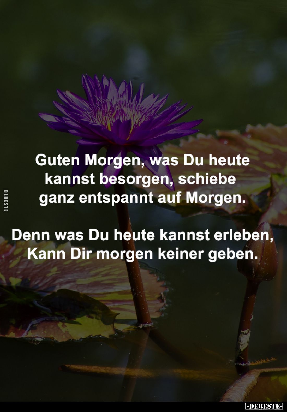 Guten Morgen, was Du heute
kannst besorgen, schiebe
ganz entspannt auf Morgen.
Denn was Du heute kannst erleben,
Kann ...