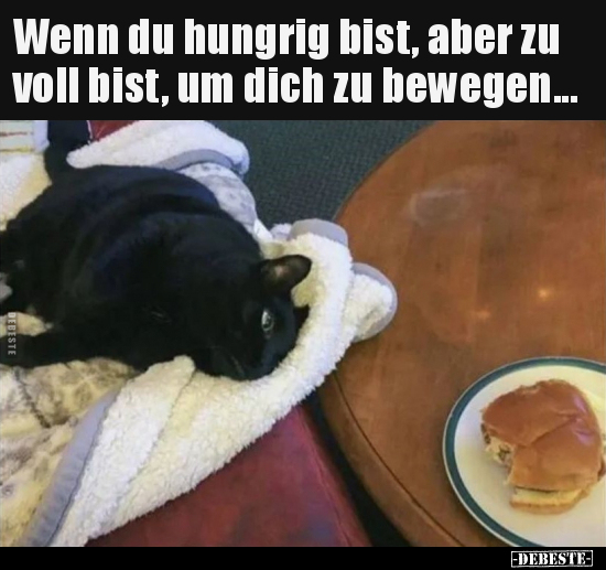 Wenn du hungrig bist, aber zu voll bist, um dich zu..