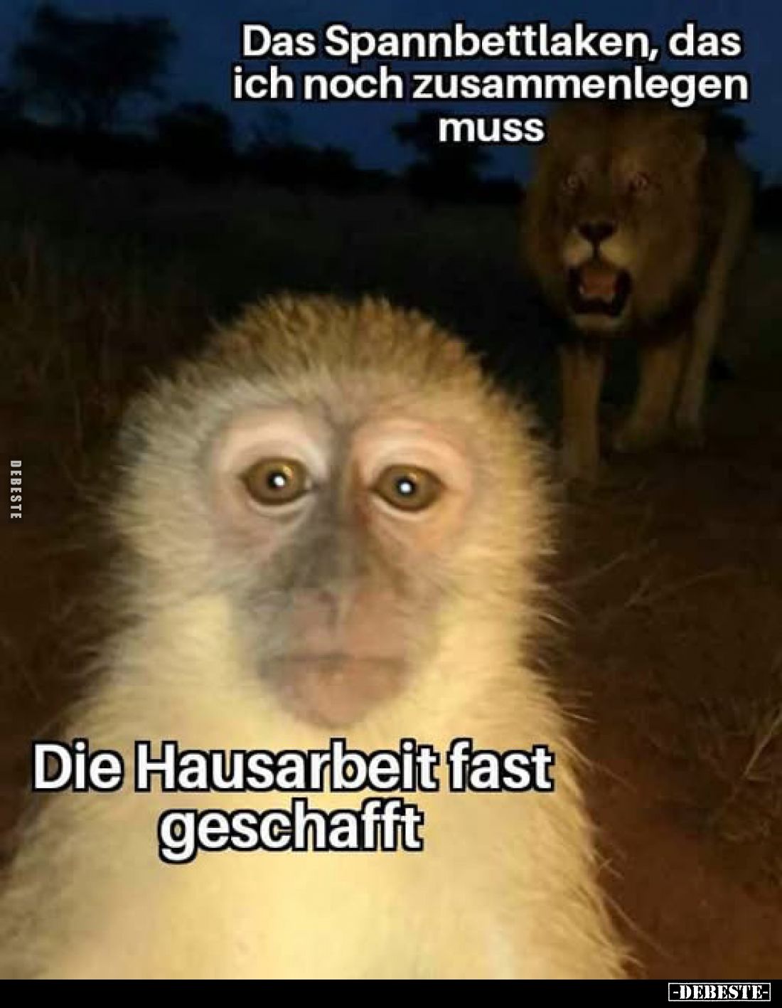 Das Spannbettlaken, das ich noch zusammenlegen muss.  -
Die Hausarbeit fast geschafft.