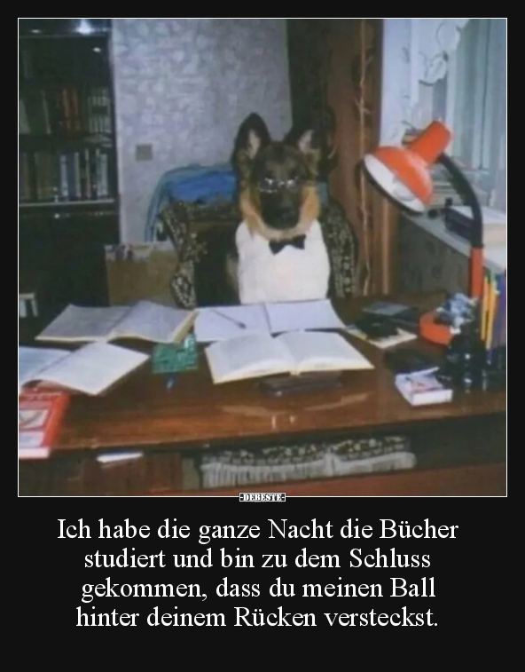 Ich habe die ganze Nacht die Bücher studiert und bin zu.. - Lustige Bilder | DEBESTE.de