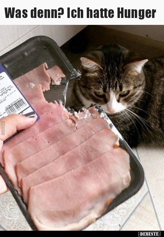 Was denn? Ich hatte Hunger..
