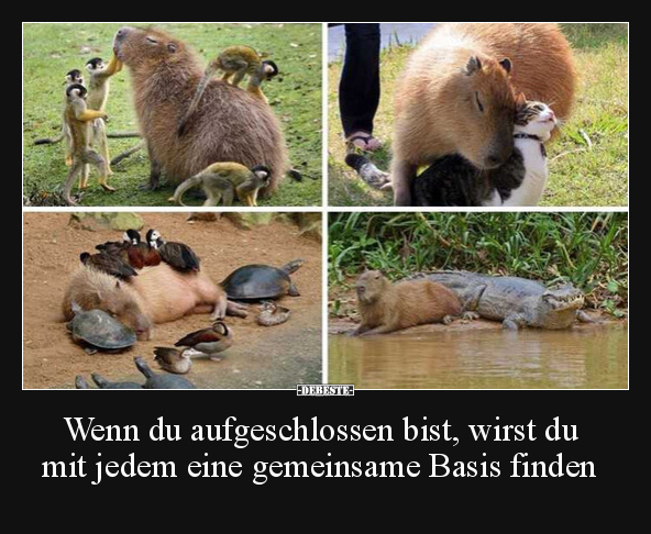 Wenn du aufgeschlossen bist, wirst du mit jedem eine.. - Lustige Bilder | DEBESTE.de