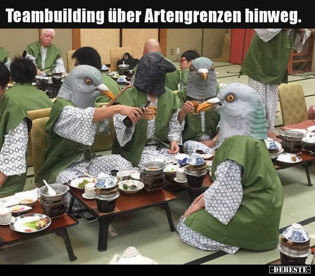 Teambuilding über Artengrenzen hinweg.