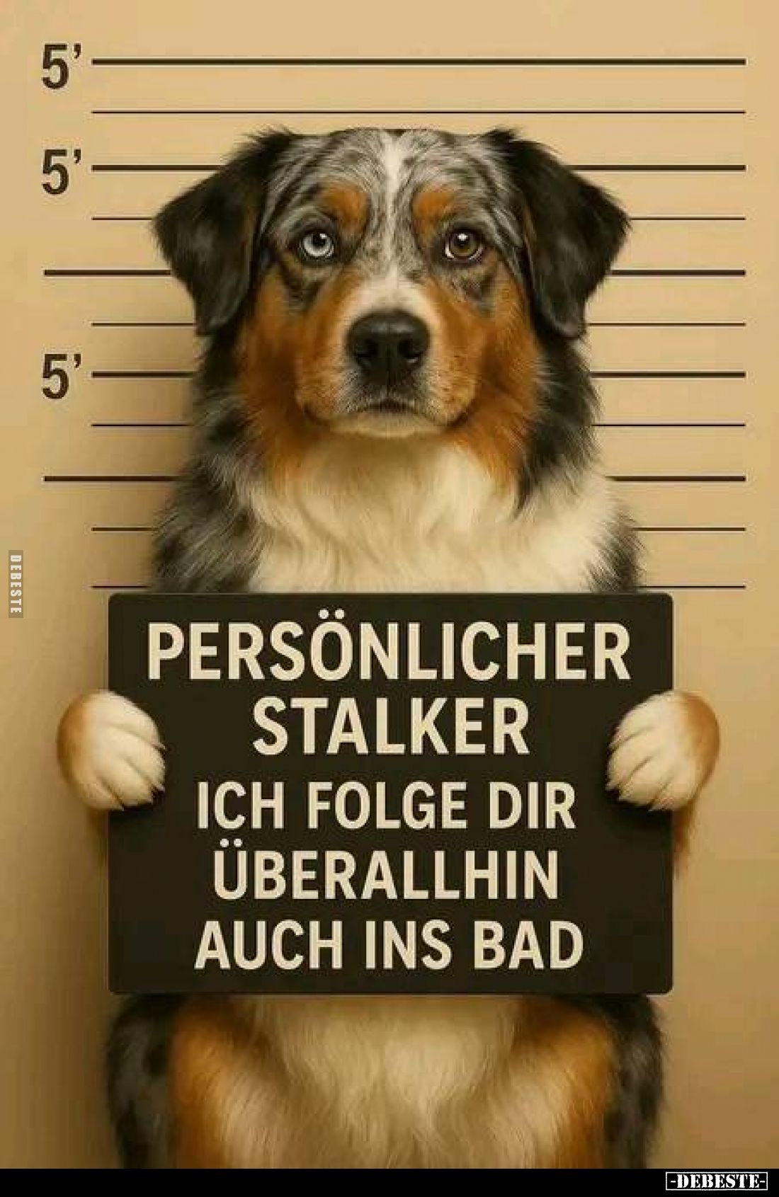 Persönlicher Stalker. Ich folge dir überallhin auch ins Bad.