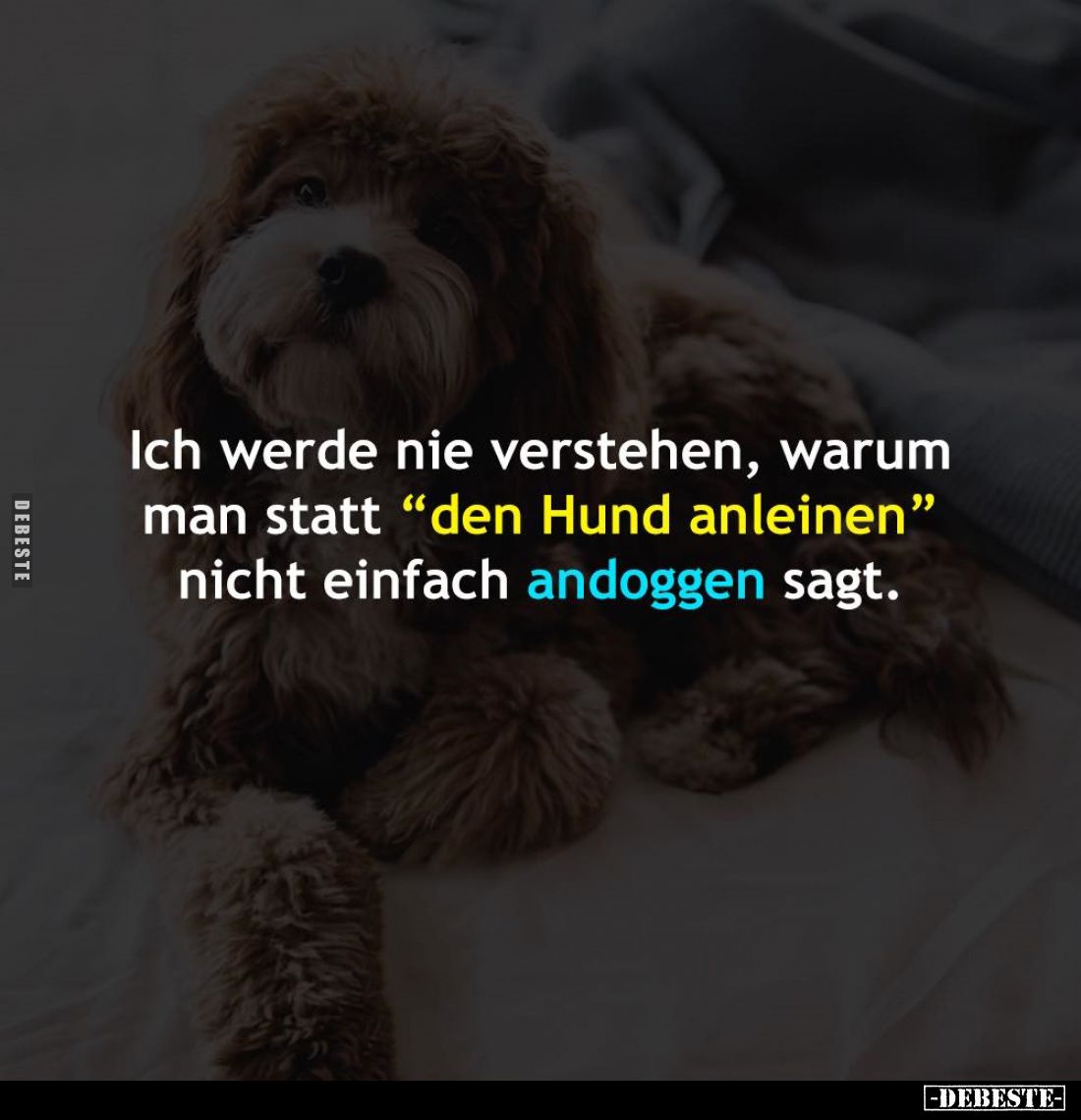 Ich werde nie verstehen, warum man statt "den Hund anleinen" nicht einfach andoggen sagt.