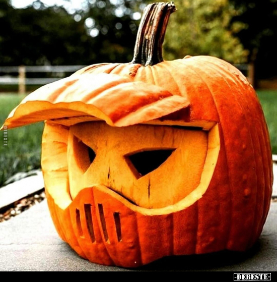  - Lustige Bilder | DEBESTE.de