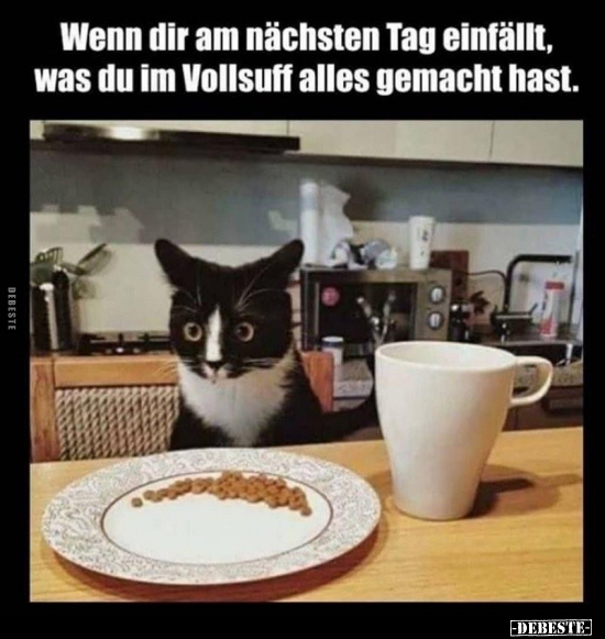 Wenn dir am nächsten Tag einfällt, was du im Vollsuff alles..