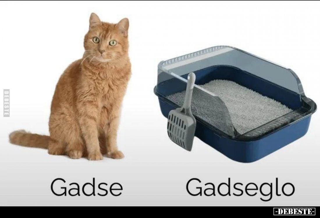 Gadse und
Gadseglo.