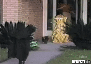  - Lustige Bilder | DEBESTE.de