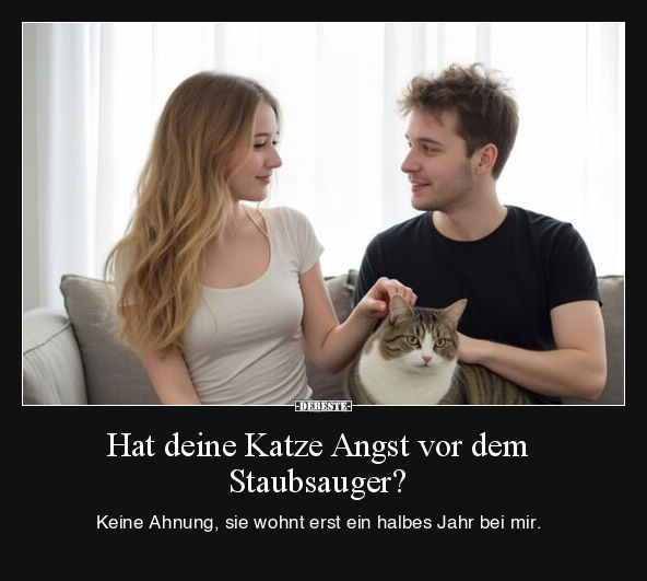 Katzen