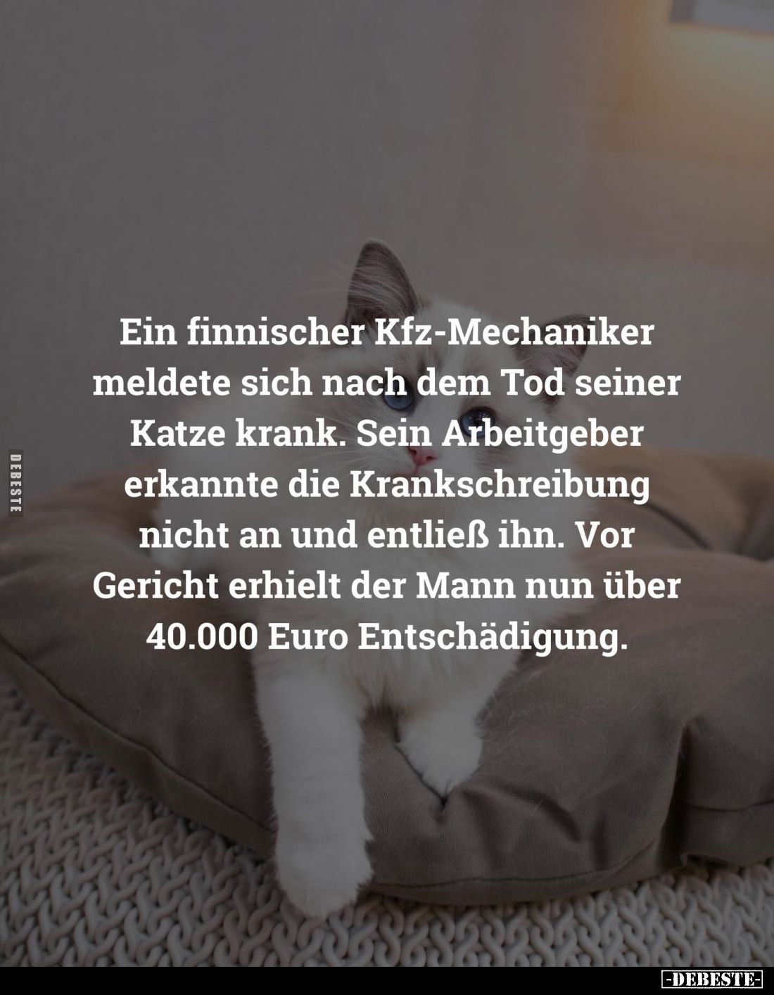 Ein finnischer Kfz-Mechaniker meldete sich nach dem Tod seiner Katze krank. Sein Arbeitgeber erkannte die Krankschreibung nic...
