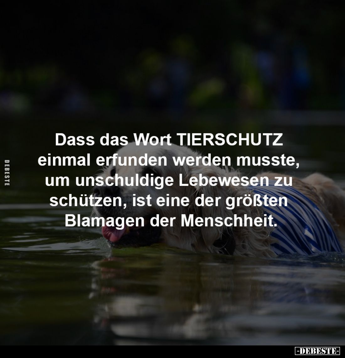Dass das Wort TIERSCHUTZ 
einmal erfunden werden musste, 
um unschuldige Lebewesen zu 
schützen, ist eine der größten 
Bl...