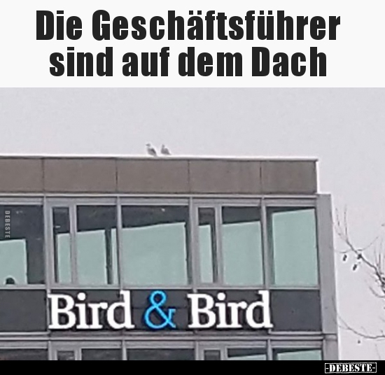 Die Geschäftsführer sind auf dem Dach.. - Lustige Bilder | DEBESTE.de