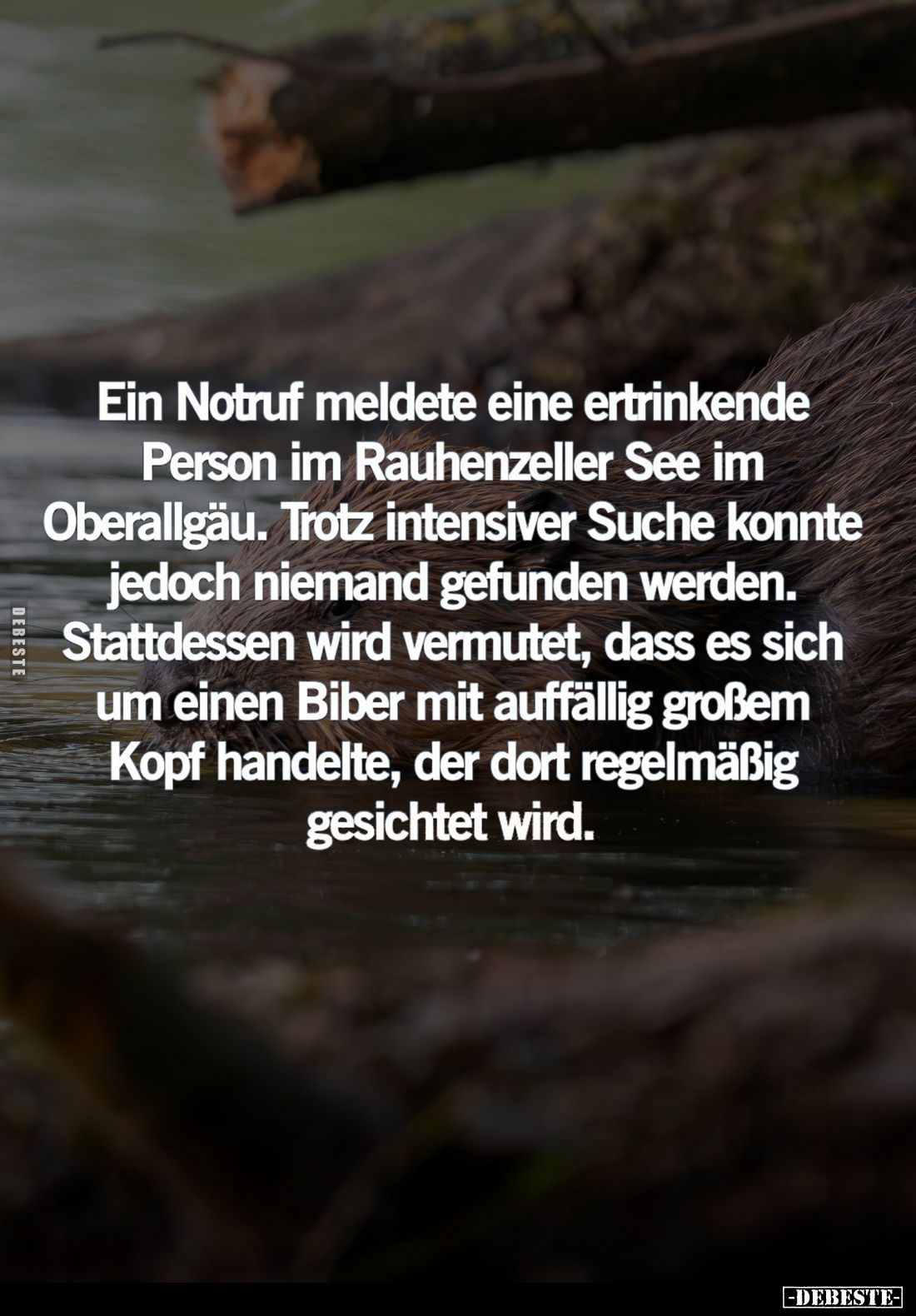 Ein Notruf meldete eine ertrinkende Person im Rauhenzeller See im Oberallgäu. Trotz intensiver Suche konnte jedoch niemand ge...