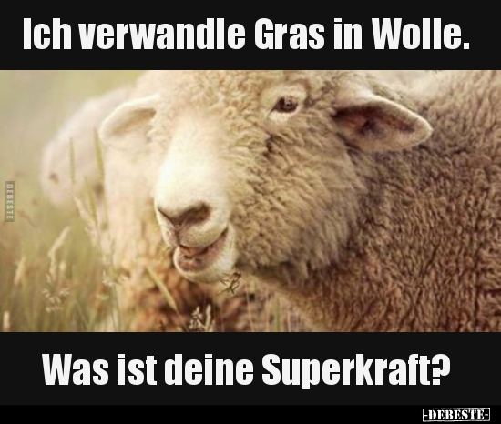Ich verwandle Gras in Wolle... - Lustige Bilder | DEBESTE.de