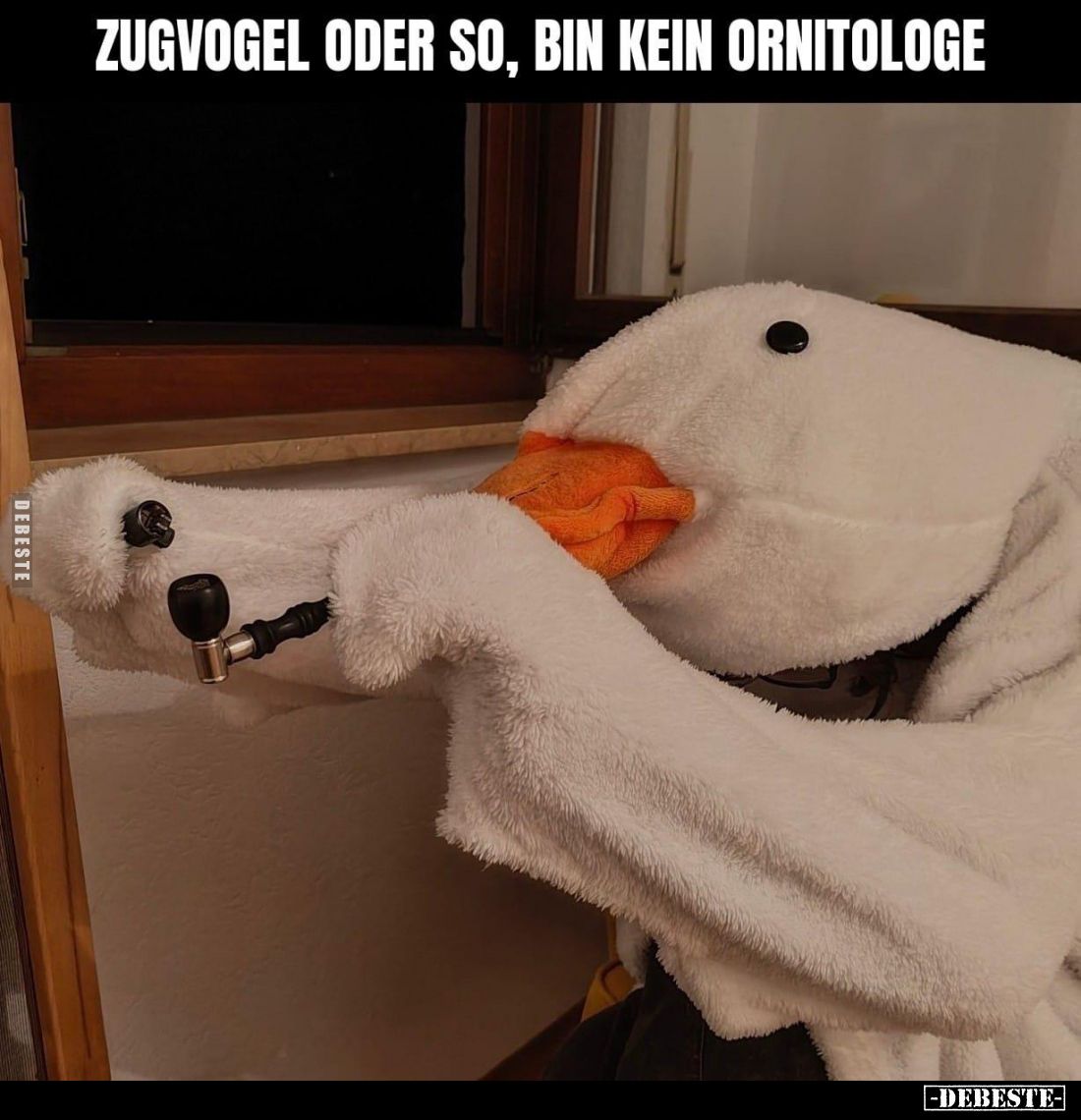 Zugvogel oder so, bin kein Ornithologe.. - Lustige Bilder | DEBESTE.de