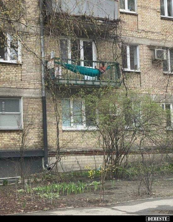  - Lustige Bilder | DEBESTE.de