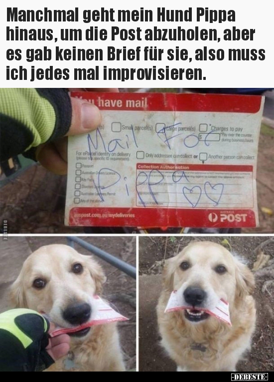 Manchmal geht mein Hund Pippa hinaus, um die Post..
