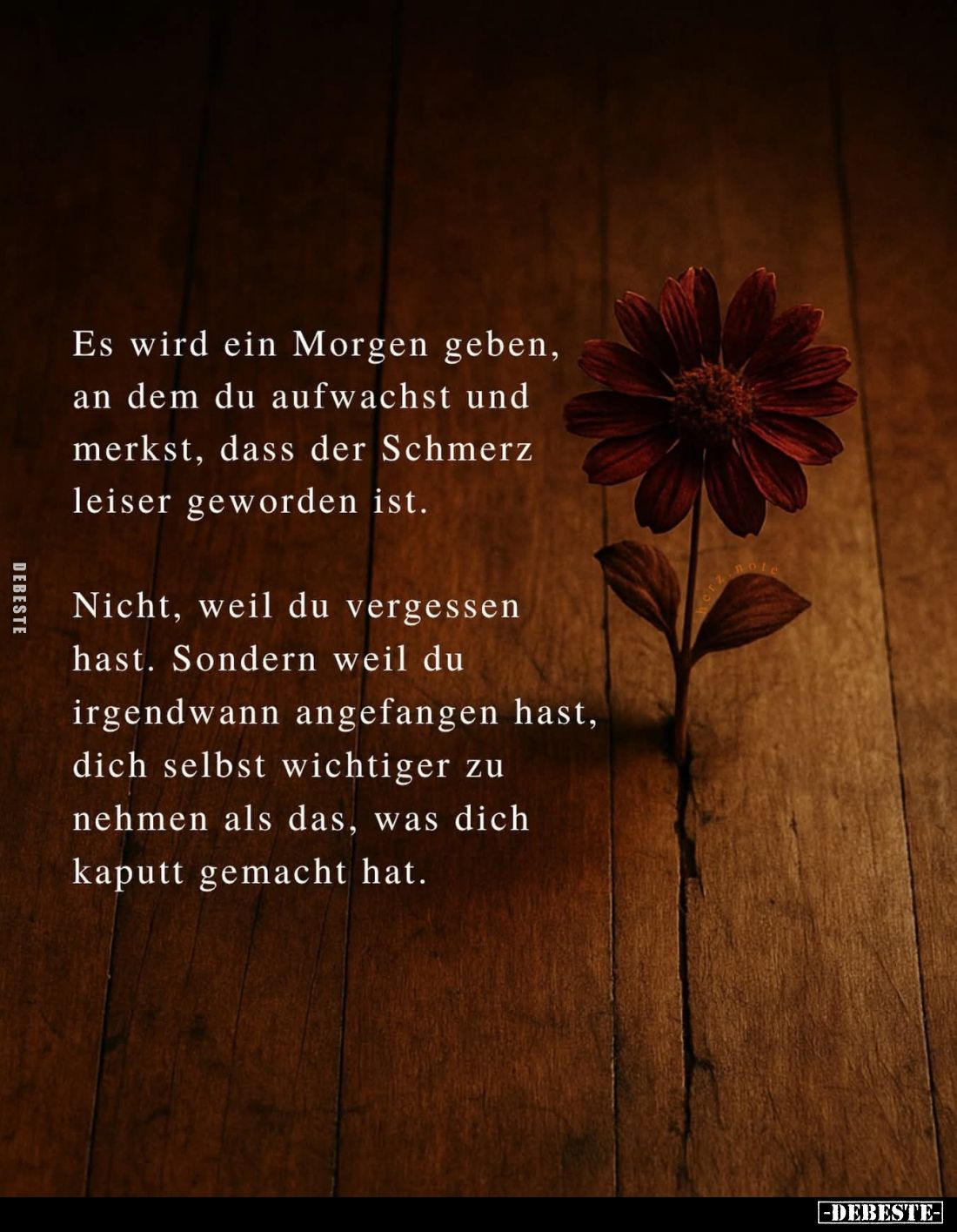 Es wird ein Morgen geben, an dem du aufwachst und merkst.. - Lustige Bilder | DEBESTE.de