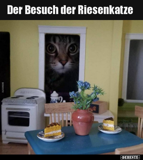 Der Besuch der Riesenkatze.. - Lustige Bilder | DEBESTE.de