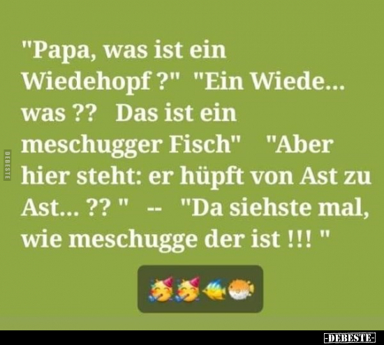 "Papa, was ist ein Wiedehopf?".. - Lustige Bilder | DEBESTE.de