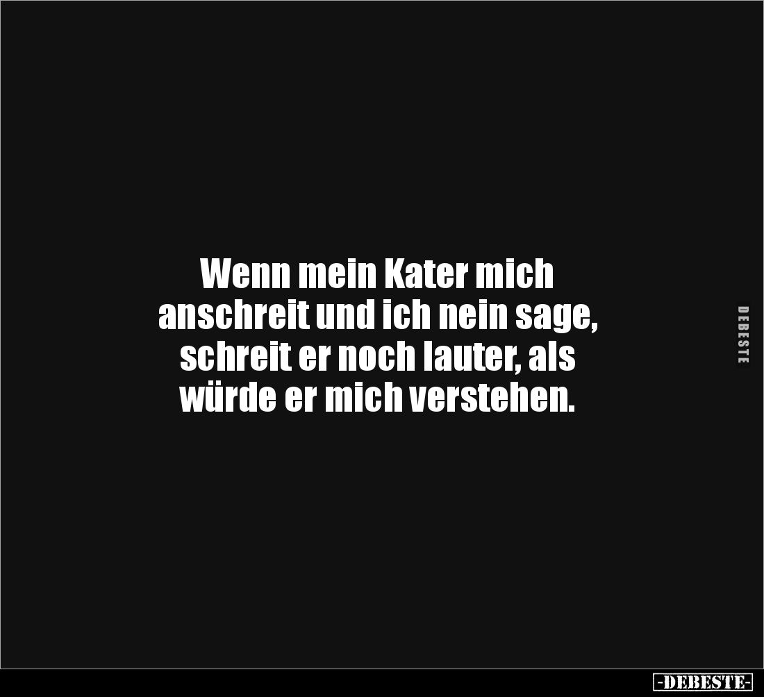 Wenn mein Kater mich 
anschreit und ich nein sage, 
schreit er noch lauter, als 
würde er mich verstehen.