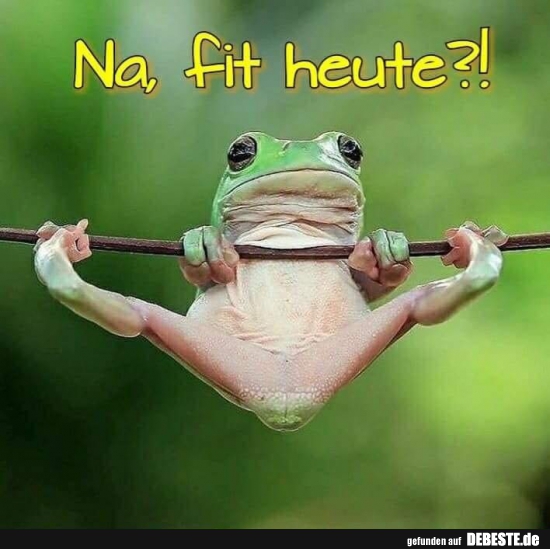 Na, fit heute?!