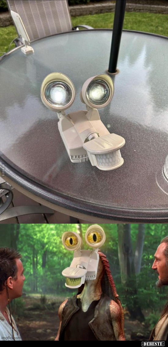  - Lustige Bilder | DEBESTE.de