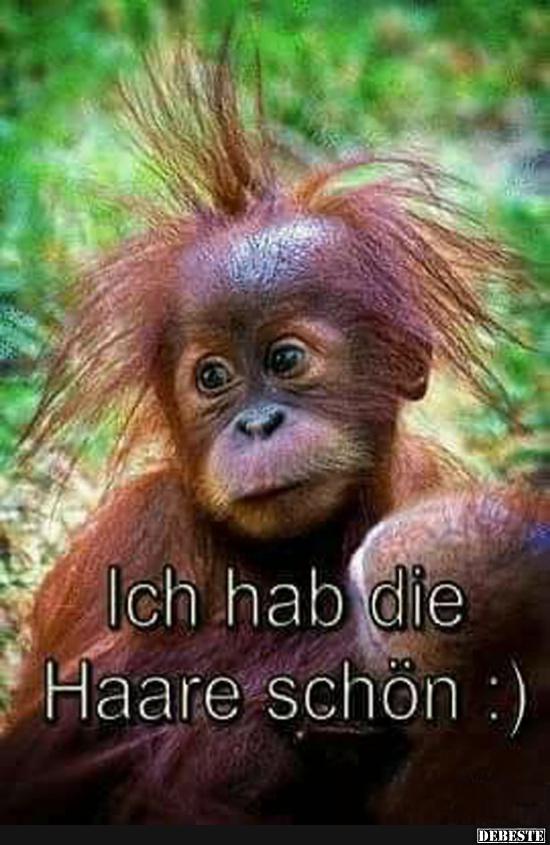Ich hab die Haare schön :) - Lustige Bilder | DEBESTE.de