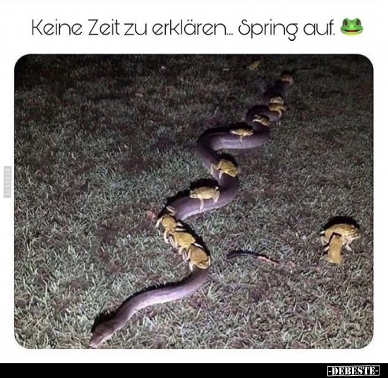 Keine Zeit zu erklären... Spring auf.