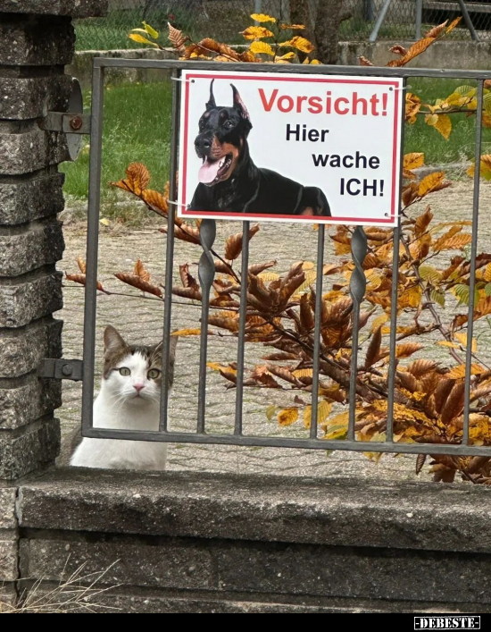 Vorsicht! Hier wache ICH!.. - Lustige Bilder | DEBESTE.de
