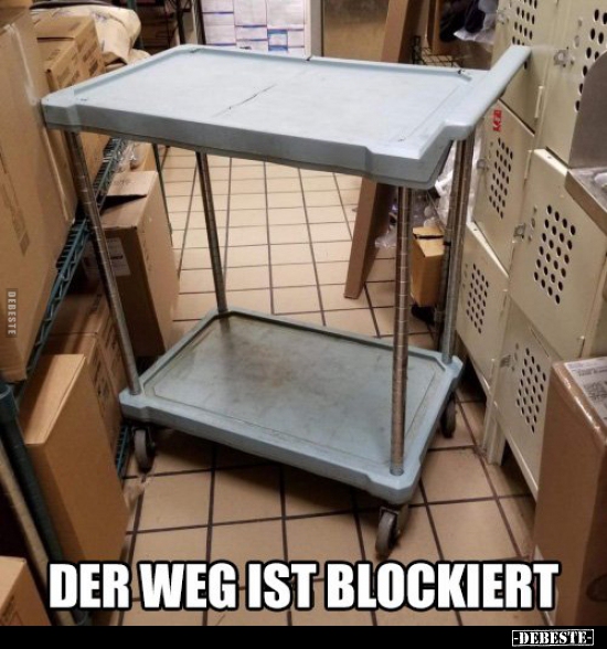 Der Weg ist blockiert... - Lustige Bilder | DEBESTE.de