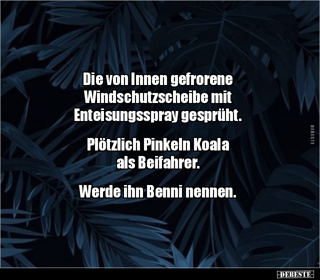 Die von Innen gefrorene Windschutzscheibe mit.. - Lustige Bilder | DEBESTE.de