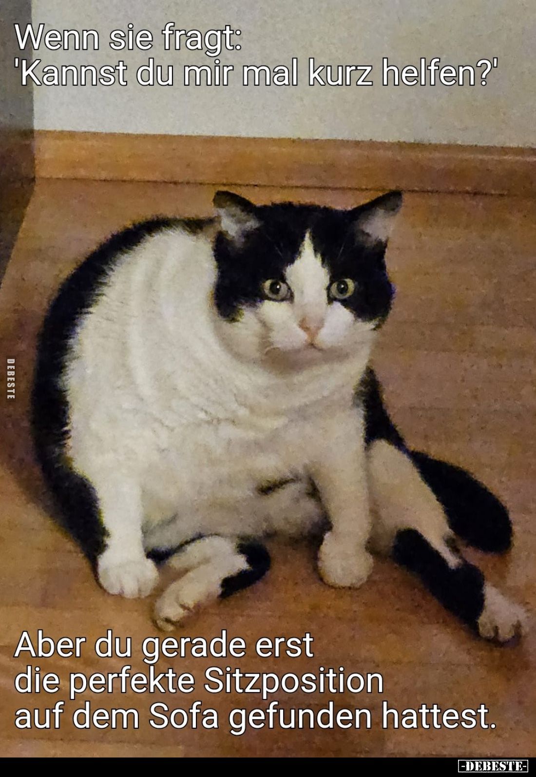 Wenn sie fragt: "Kannst du mir mal kurz helfen?"
Aber du gerade erst die perfekte Sitzposition auf dem Sofa gefund...