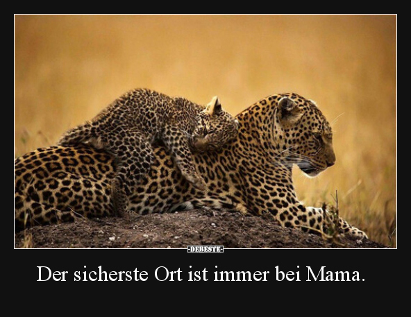 Der sicherste Ort ist immer bei Mama... - Lustige Bilder | DEBESTE.de