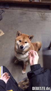 Ich fühle mich betrogen.. :(